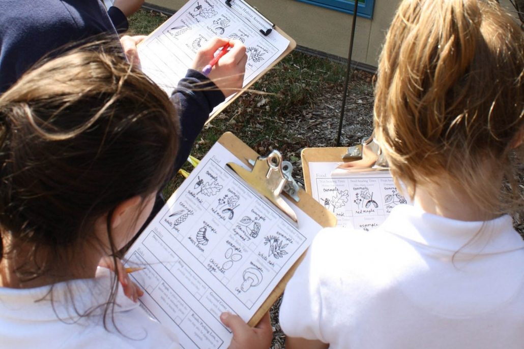 Group of Students Using An Outdoor Curriculum